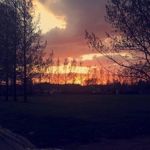 Meet your Posher, Kelsie